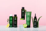 Four Reasons Scalp Calming Shampoo 250ml - Image 3