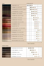 Four Reasons Takeaway Color - Image 2