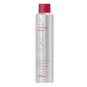 Four Reasons Professional Working Spray 300ml